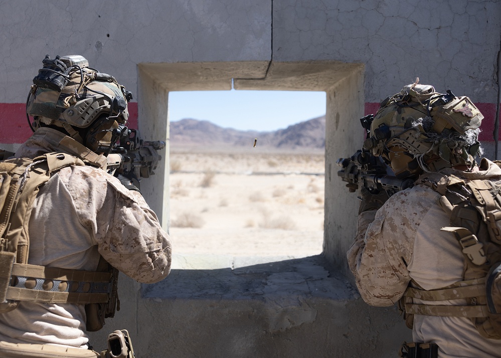SLTE 4-25: 2d Recon Close  Quarters Tactics