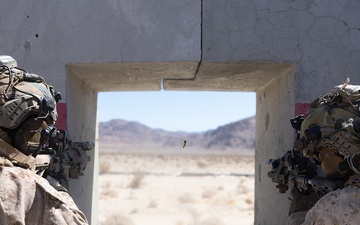 SLTE 4-25: 2d Recon Close  Quarters Tactics
