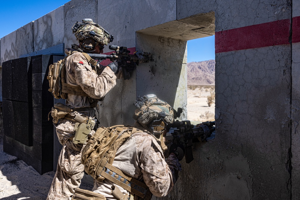 SLTE 4-25: 2d Recon Close  Quarters Tactics