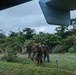 VMM-262 provides close-air support, simulated casualty evacuation