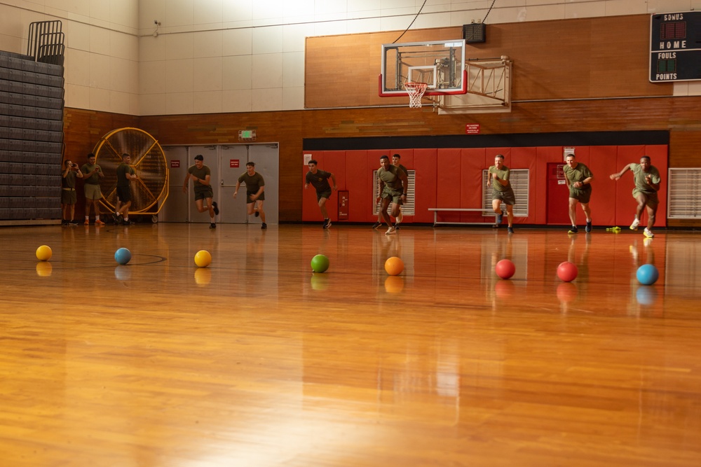CLR-37 Conducts Regimental Run, Dodgeball Event