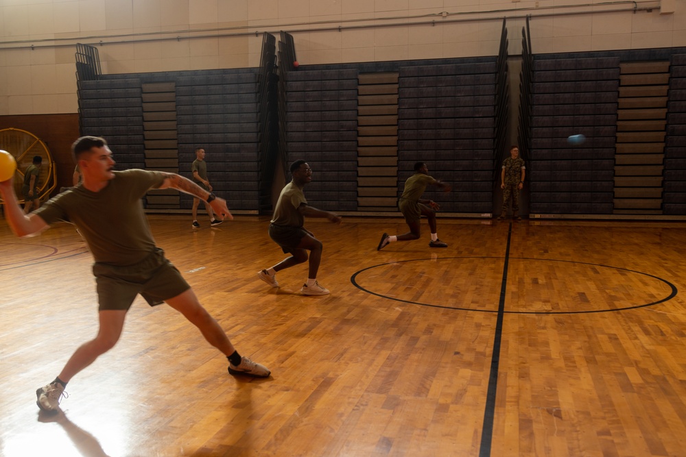 CLR-37 Conducts Regimental Run, Dodgeball Event