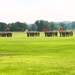 181st Multi-Functional Training Brigade holds 2025 Change of Command ceremony