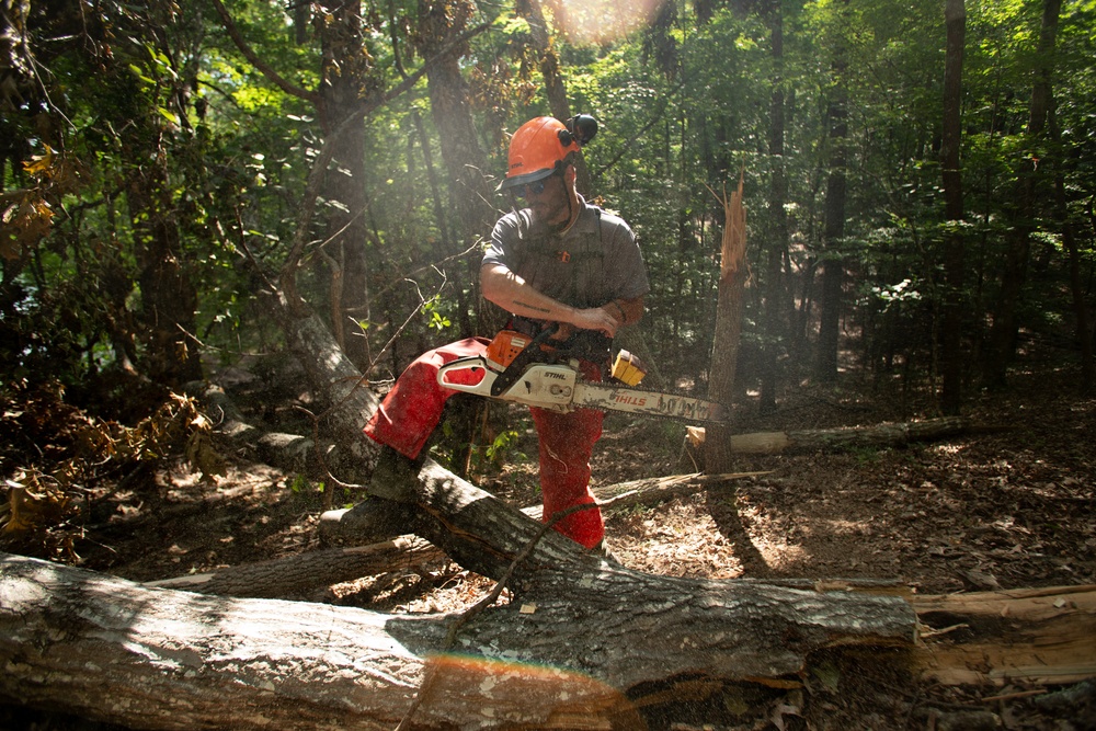 Timber!