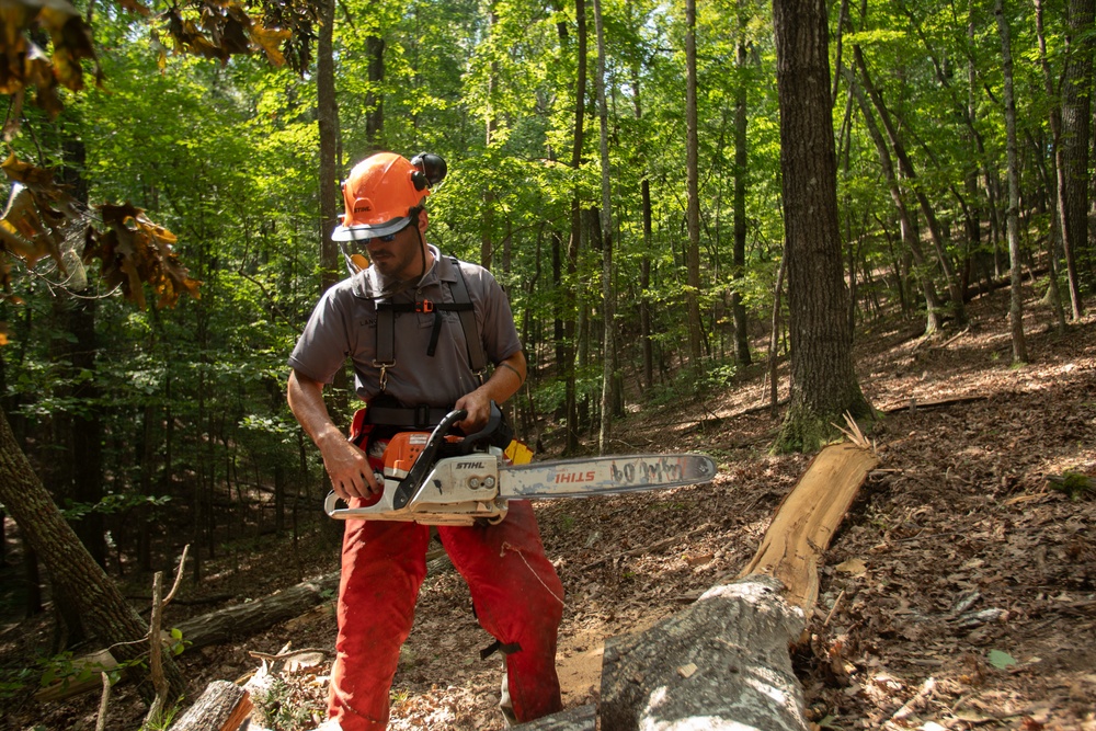 Timber!