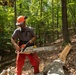 Timber!