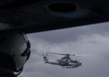 HMLA-169 Marines practice live fire maneuvering