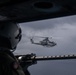 HMLA-169 Marines practice live fire maneuvering