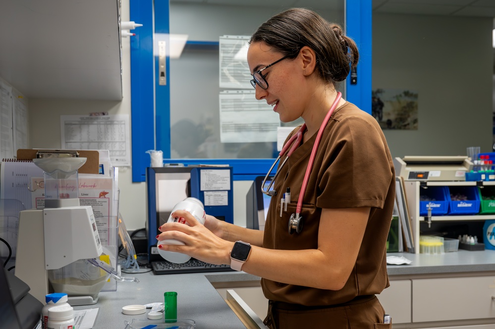 Mission Ready: Kadena’s Vet Clinic supports troops one paw at a time