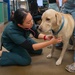 Mission Ready: Kadena’s Vet Clinic supports troops one paw at a time