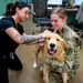 Mission Ready: Kadena’s Vet Clinic supports troops one paw at a time