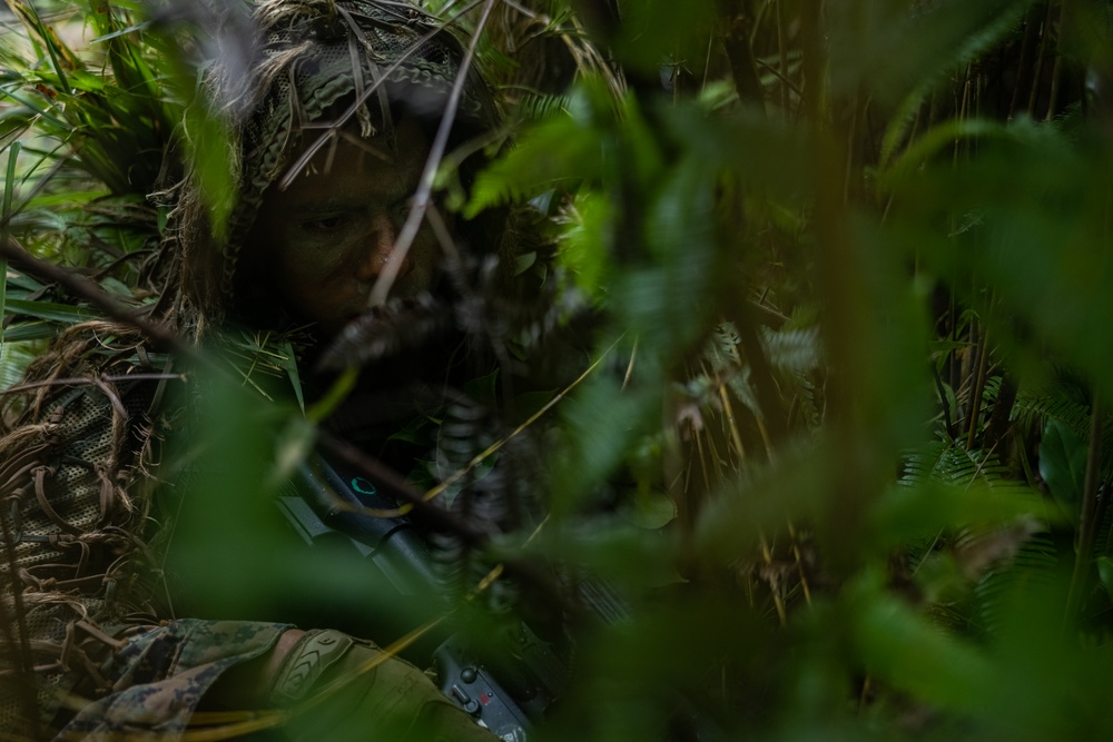 12th LCT Executes an Expeditionary Advanced Base Operations FTX