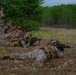 ARTP 25.1| 12th LCT Executes a Platoon Sized Live-Fire Range