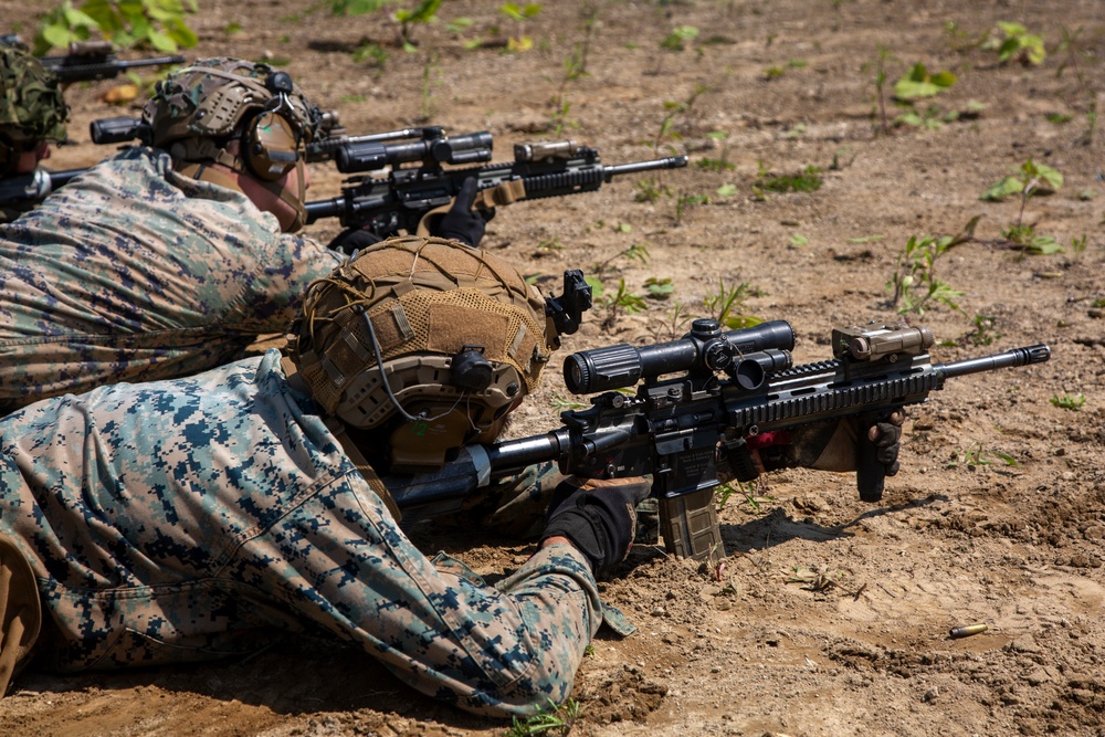 ARTP 25.1| 12th LCT Executes a Platoon Sized Live-Fire Range