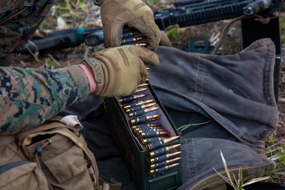 ARTP 25.1| 12th LCT Executes a Platoon Sized Live-Fire Range