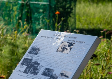 A Prayer for Peace: The Lonesome Lady Peace Memorial