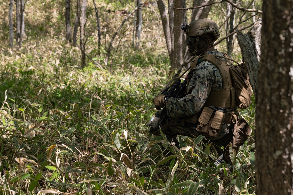 ARTP 25.1 | LCT Marines Execute a Platoon Attack