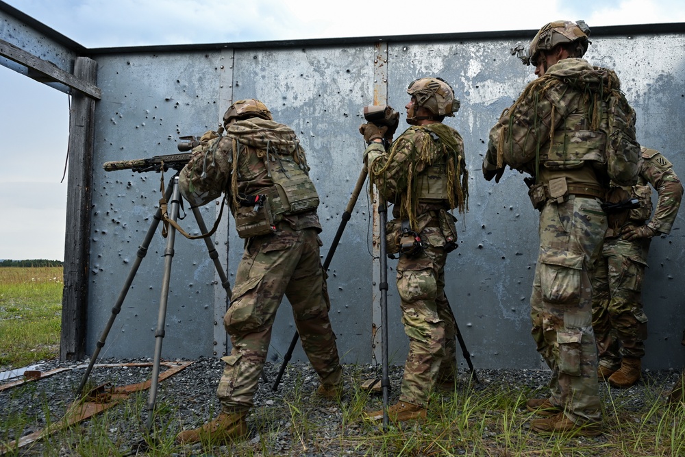 2nd Battalion, 7th Infantry Regiment:  Sniper Section (Menace)