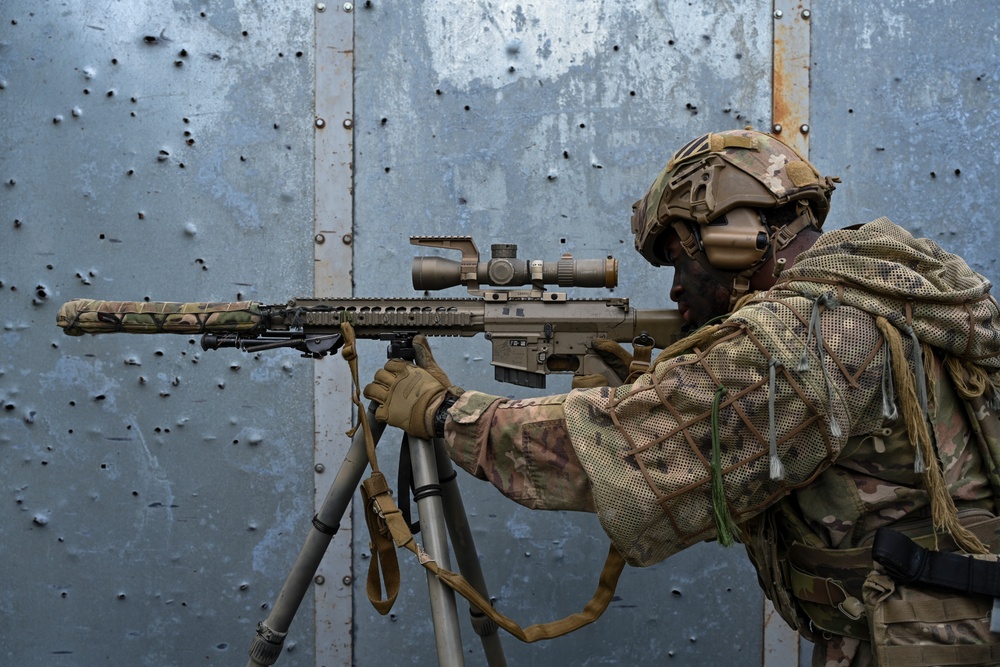 2nd Battalion, 7th Infantry Regiment: Sniper Section (Menace)