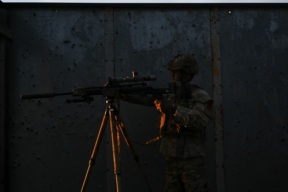 2nd Battalion, 7th Infantry Regiment: Sniper Section (Menace)