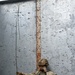2nd Battalion, 7th Infantry Regiment: Sniper Section (Menace)