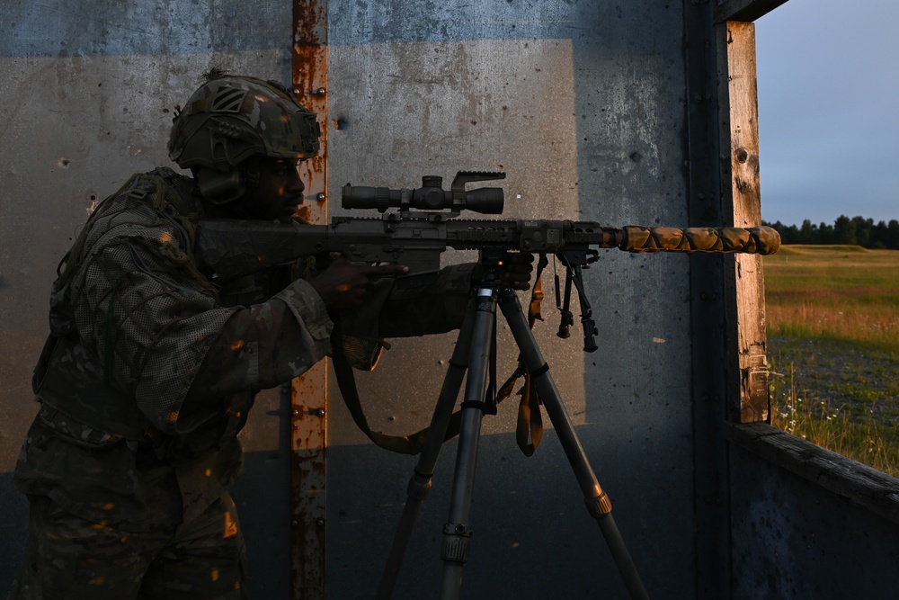 2nd Battalion, 7th Infantry Regiment: Sniper Section (Menace)