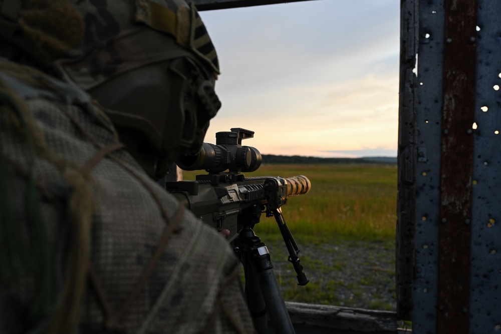 2nd Battalion, 7th Infantry Regiment: Sniper Section (Menace)