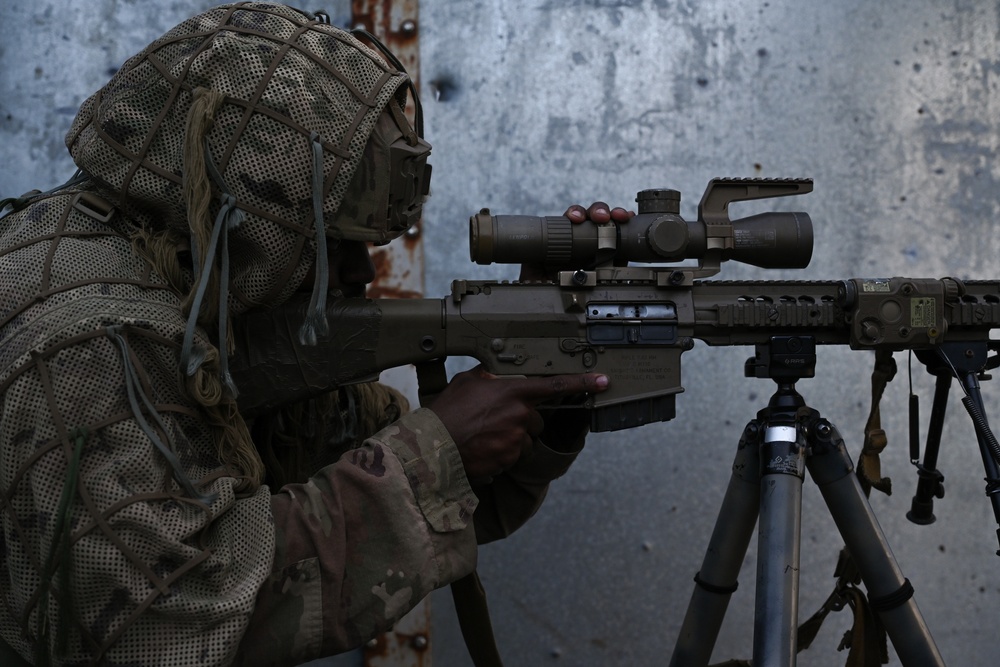 2nd Battalion, 7th Infantry Regiment: Sniper Section (Menace)