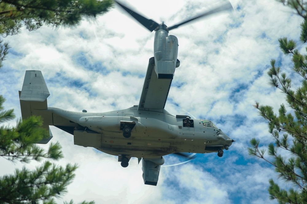 VMM-262, 3rd Recon Bn. evacuate simulated casualties