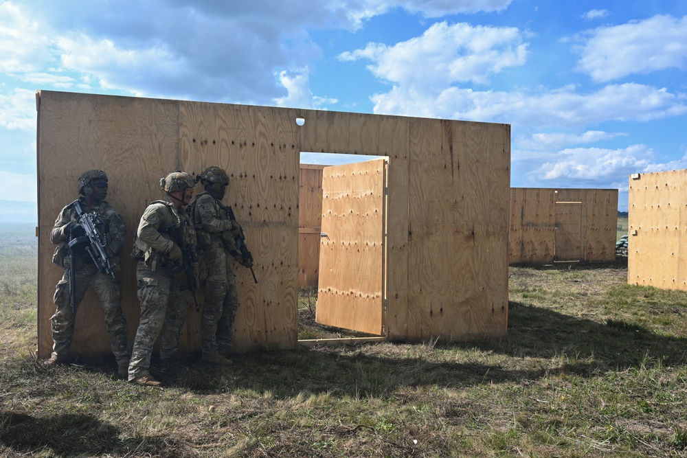 2nd Battalion, 7th Infantry Regiment: Daytime CALFEX