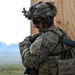 2nd Battalion, 7th Infantry Regiment: Daytime CALFEX