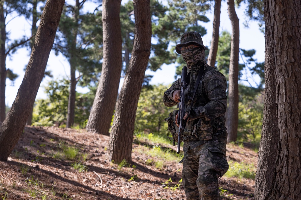 2/23 Marines and ROK Marines Conduct Bilateral Patrol Training during KMEP 25.2