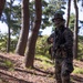 2/23 Marines and ROK Marines Conduct Bilateral Patrol Training during KMEP 25.2