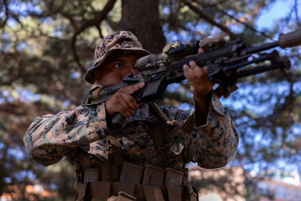 2/23 Marines and ROK Marines Conduct Bilateral Patrol Training during KMEP 25.2