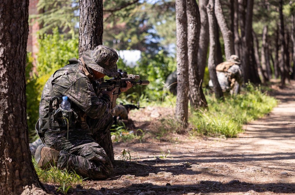 2/23 Marines and ROK Marines Conduct Bilateral Patrol Training during KMEP 25.2