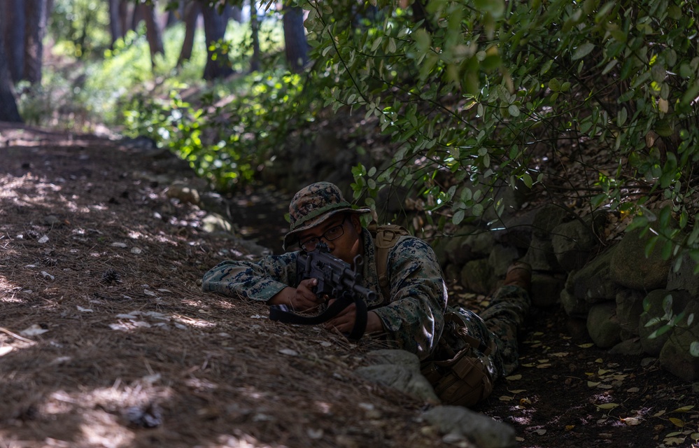 2/23 Marines and ROK Marines Conduct Bilateral Patrol Training during KMEP 25.2