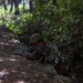 2/23 Marines and ROK Marines Conduct Bilateral Patrol Training during KMEP 25.2