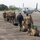 MRF-D 25.3: U.S. Marines with VMM-363 assist in foreign disaster relief MRF-D 25.3: U.S. Marines with VMM-363 assist in foreign disaster relief