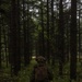 ARTP 25.1 | LCT Marines Execute a Force on Force