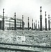 Our Yard History: The Pipe and Steel Plate Shop, Building 202