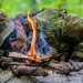 Survival Training