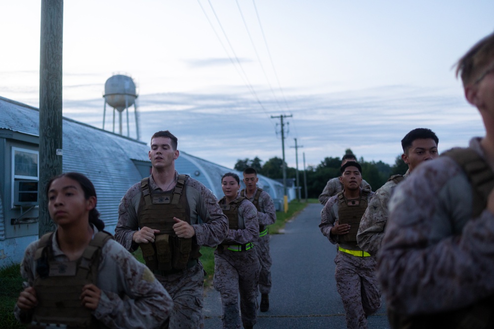 DFT CLB-22 Gear Run PT