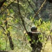 OCS Phase III Washington National Guard 2025
