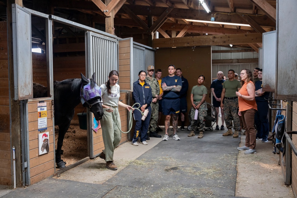 Community Relations: In the Stables
