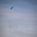 Blue Angels Perform at Seattle Fleet Week 2025