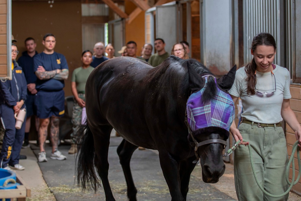 Sailors and Marines volunteer at the Little Bit Therapeutic horse-riding center