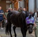 Sailors and Marines volunteer at the Little Bit Therapeutic horse-riding center