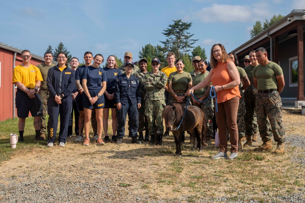 Sailors and Marines volunteer at the Little Bit Therapeutic horse-riding center
