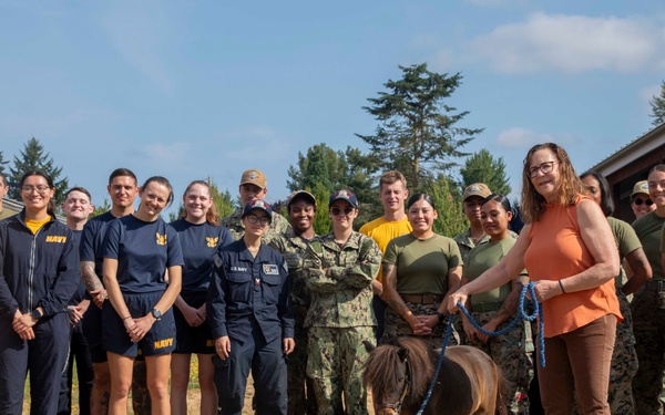 Sailors and Marines volunteer at the Little Bit Therapeutic horse-riding center