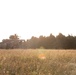 Up with the Sun